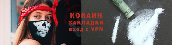 прущие грибы Богородицк