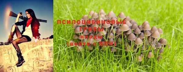 таблы Семёнов