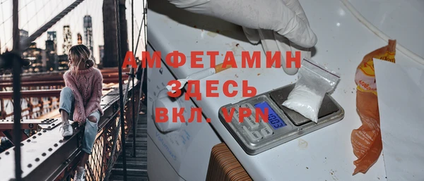 прущие грибы Богородицк