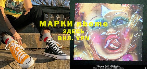 прущие грибы Богородицк