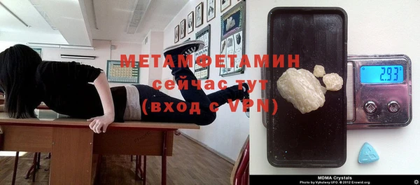 прущие грибы Богородицк